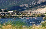 Rafters Under an Old Bridge.